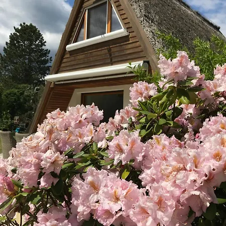 Finnhuette Seeblick Holiday home *